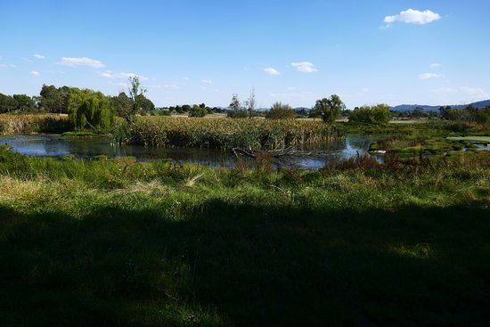 Jerrabomberra Wetlands Nature Reserve